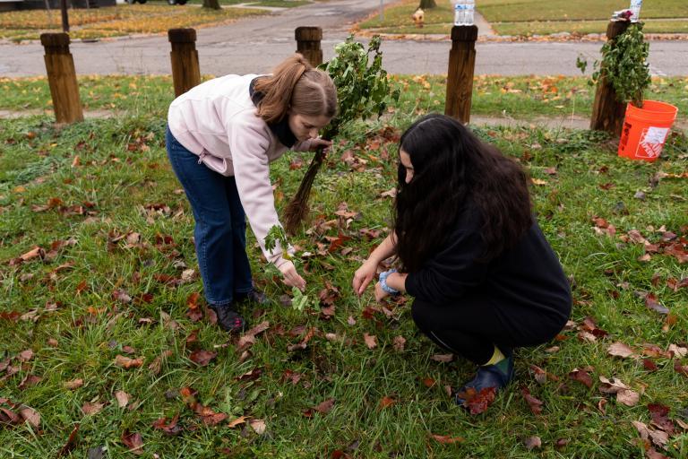 FRWC Tree Planting